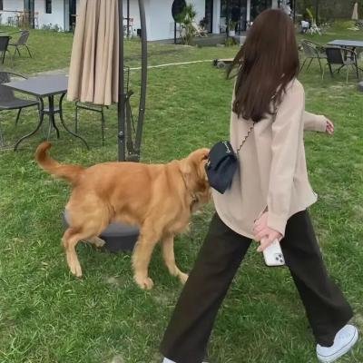 哈莉·奎茵第二季