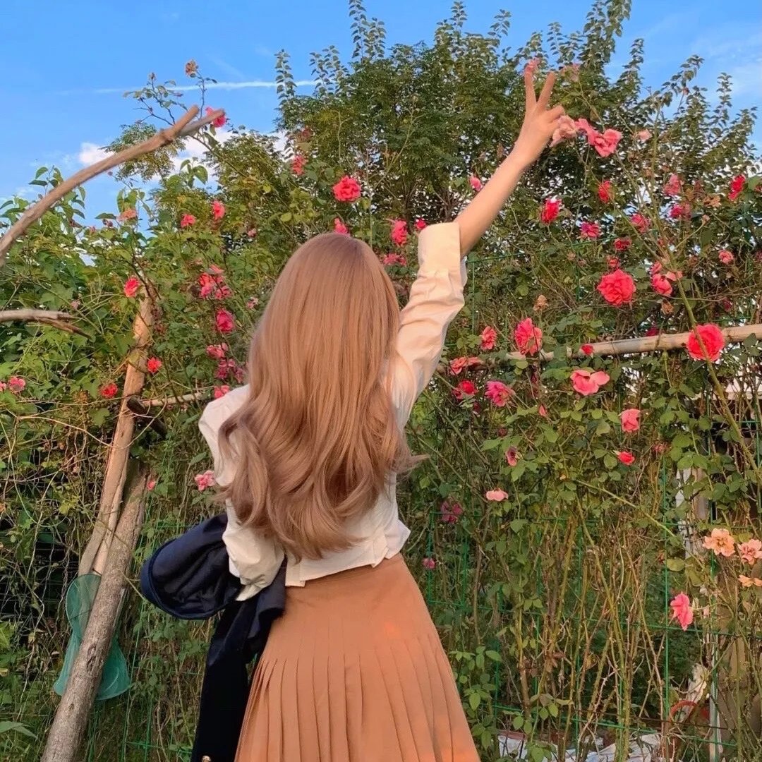 新蝶恋花